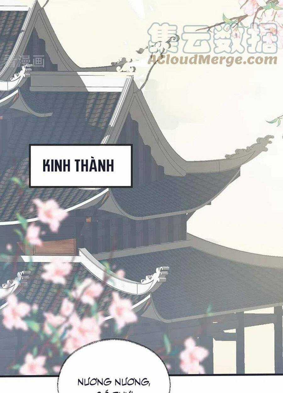 Thái Hậu Quân Hạ Thần Chapter 147 trang 43