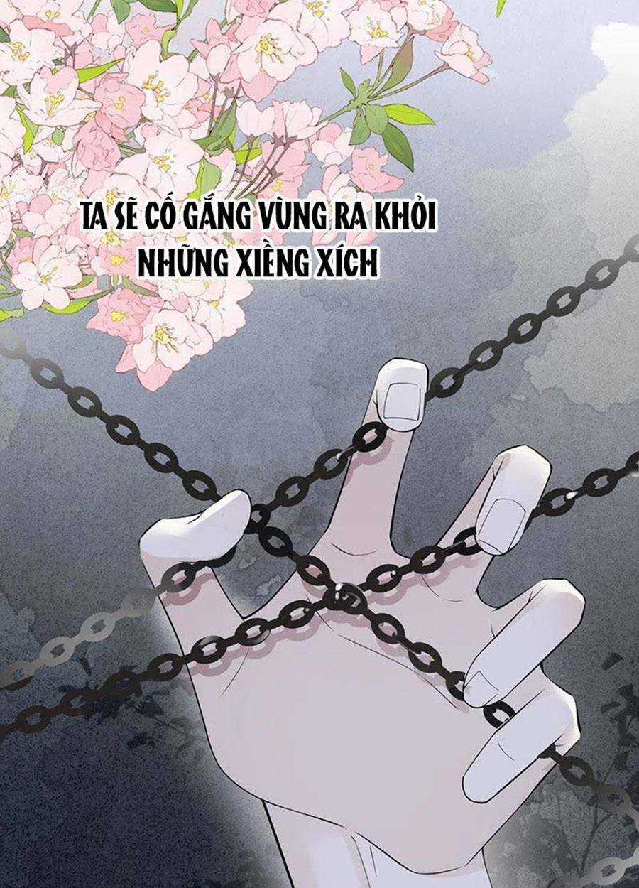 Thái Hậu Quân Hạ Thần Chapter 149 trang 16