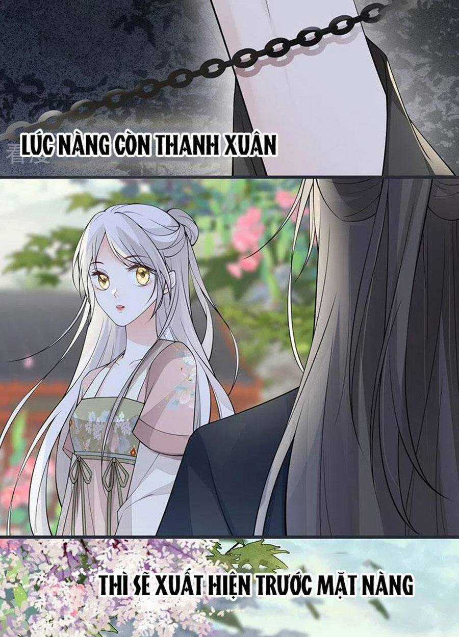 Thái Hậu Quân Hạ Thần Chapter 149 trang 17