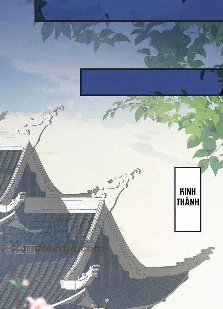 Thái Hậu Quân Hạ Thần Chapter 151 trang 34