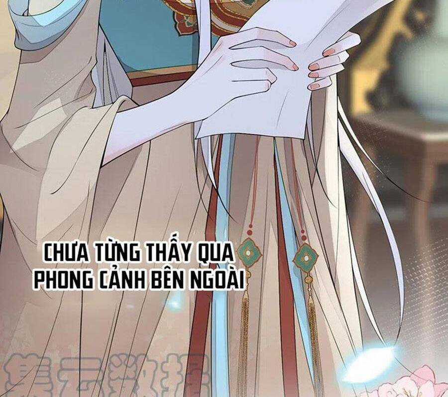 Thái Hậu Quân Hạ Thần Chapter 151 trang 44