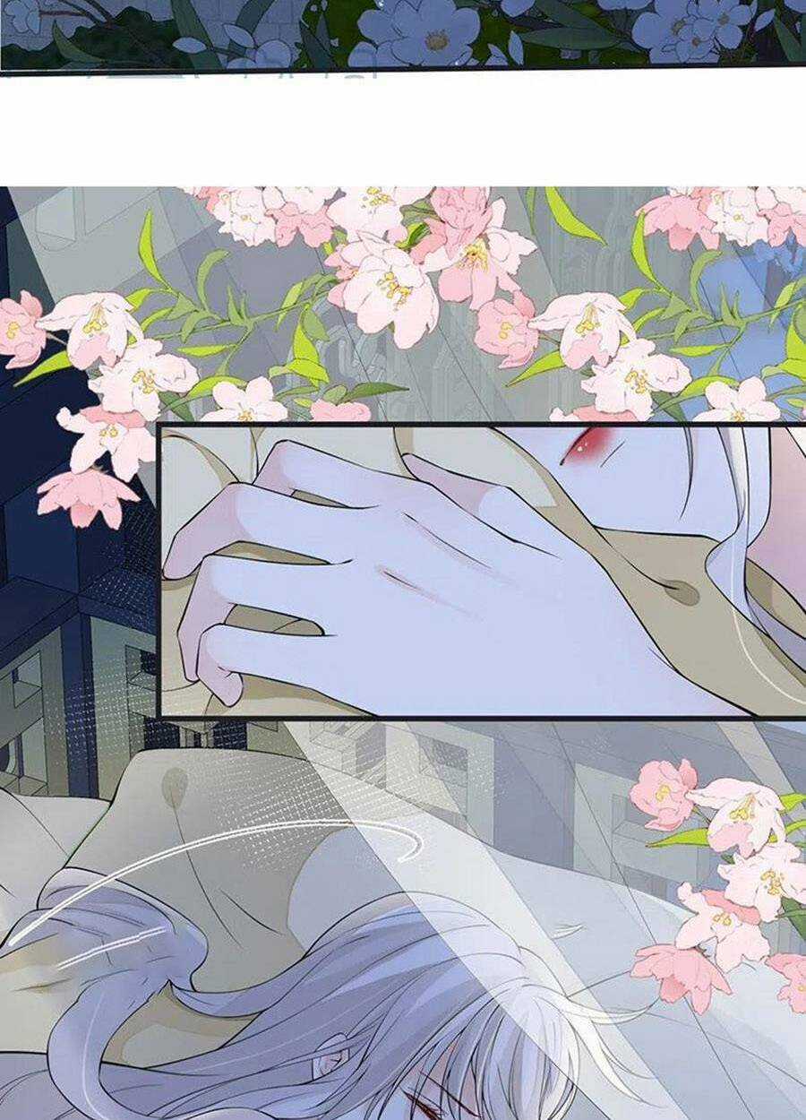 Thái Hậu Quân Hạ Thần Chapter 152 trang 39