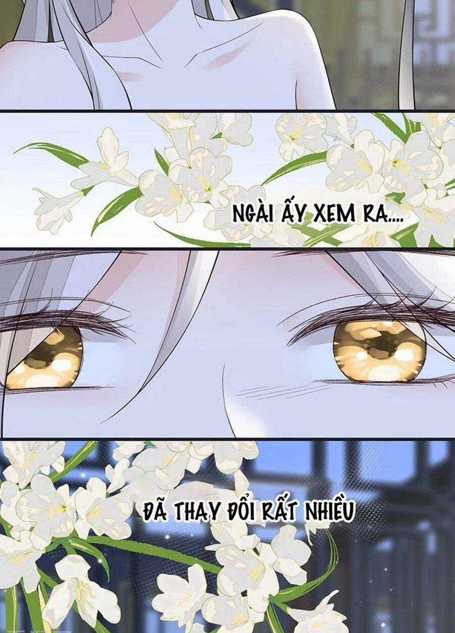 Thái Hậu Quân Hạ Thần Chapter 153 trang 31