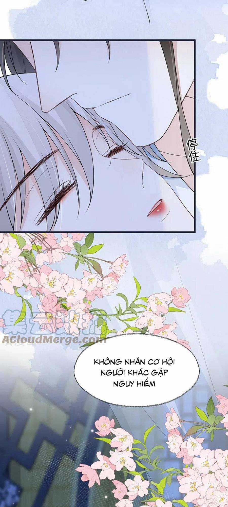 Thái Hậu Quân Hạ Thần Chapter 154 trang 34