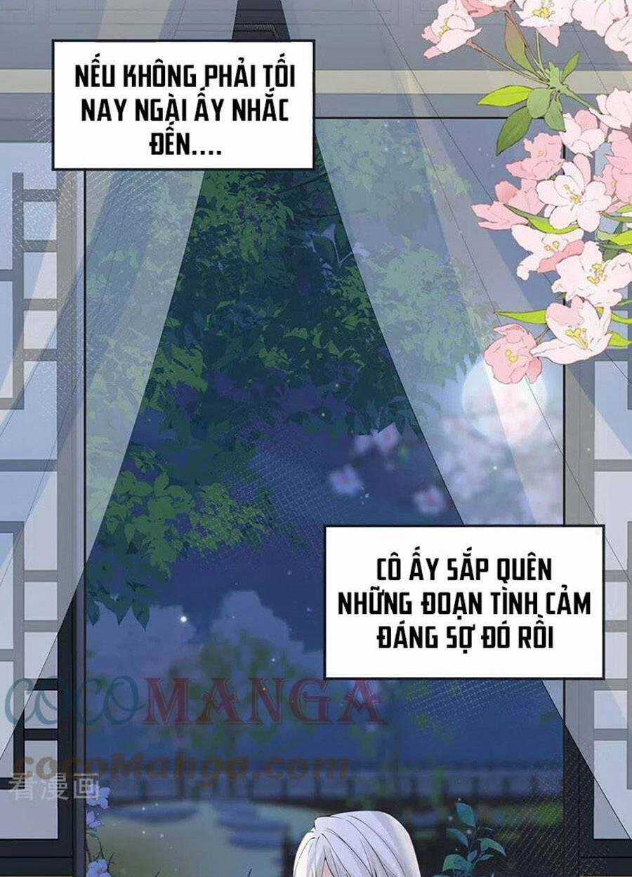 Thái Hậu Quân Hạ Thần Chapter 155 trang 29