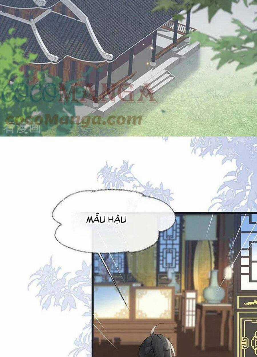 Thái Hậu Quân Hạ Thần Chapter 155 trang 43