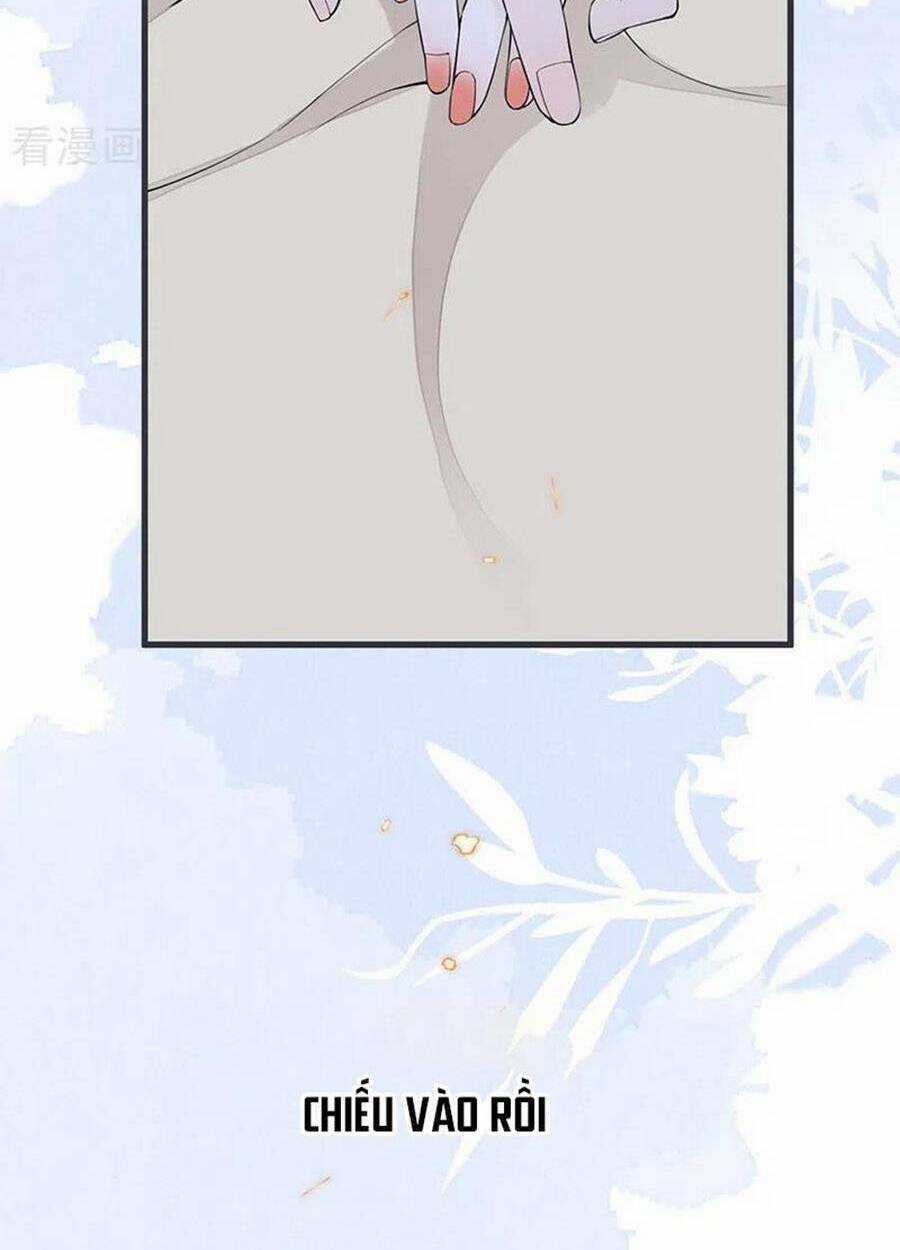 Thái Hậu Quân Hạ Thần Chapter 156 trang 41