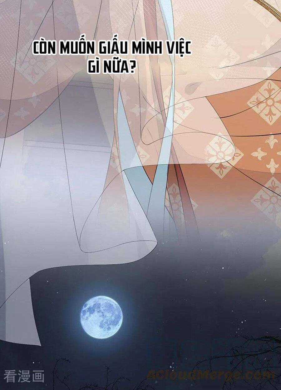 Thái Hậu Quân Hạ Thần Chapter 159 trang 28