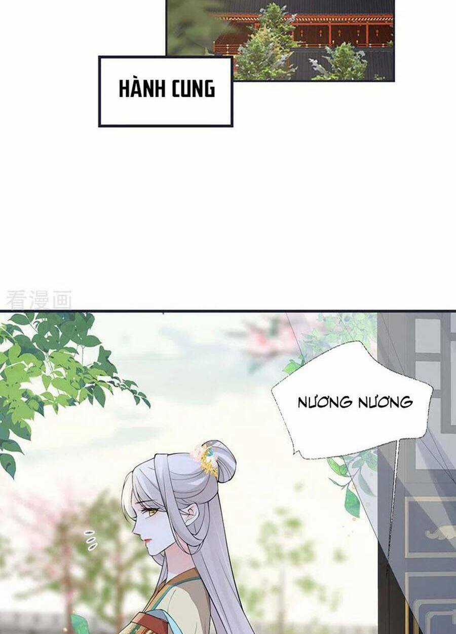 Thái Hậu Quân Hạ Thần Chapter 161 trang 23