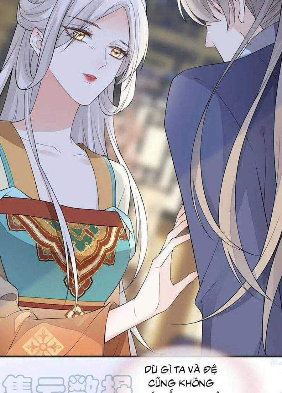 Thái Hậu Quân Hạ Thần Chapter 161 trang 29