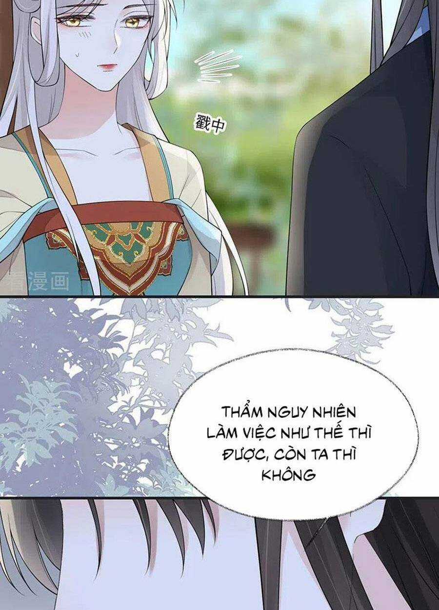 Thái Hậu Quân Hạ Thần Chapter 162 trang 24