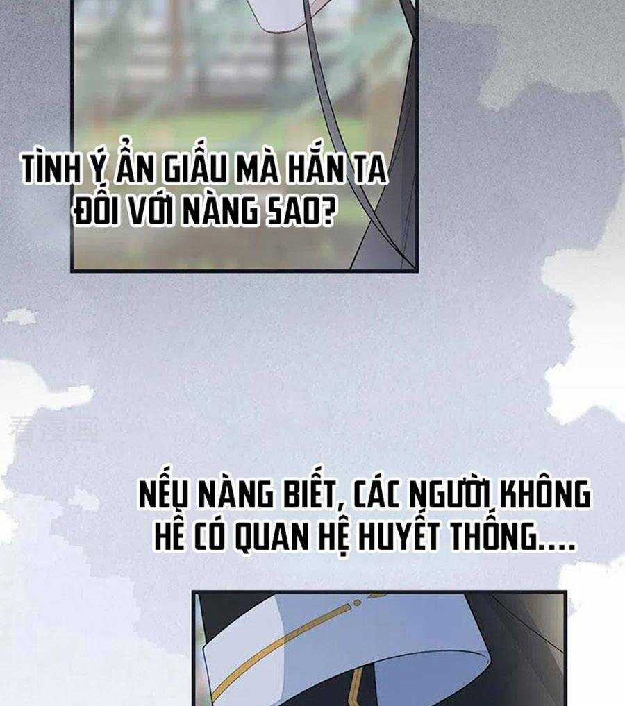 Thái Hậu Quân Hạ Thần Chapter 162 trang 36