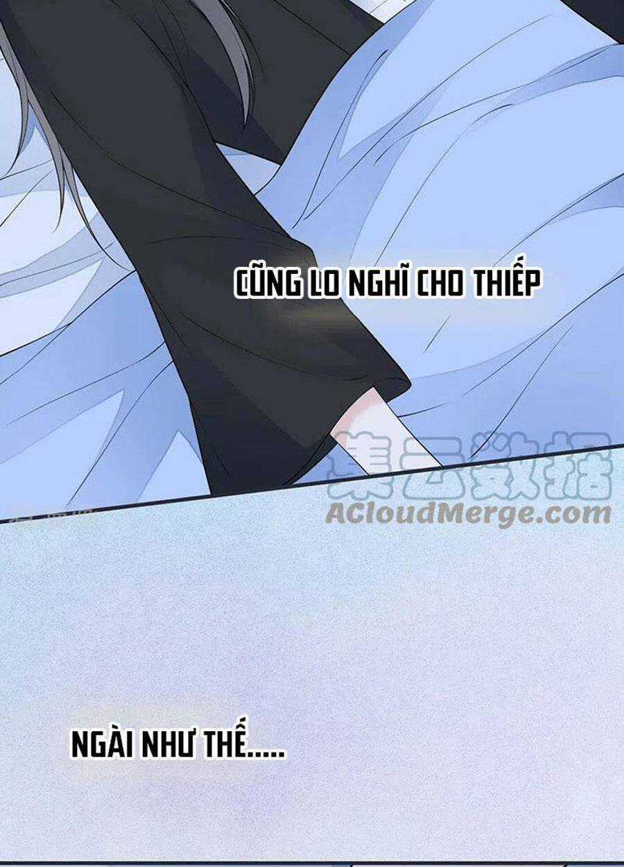 Thái Hậu Quân Hạ Thần Chapter 164 trang 16