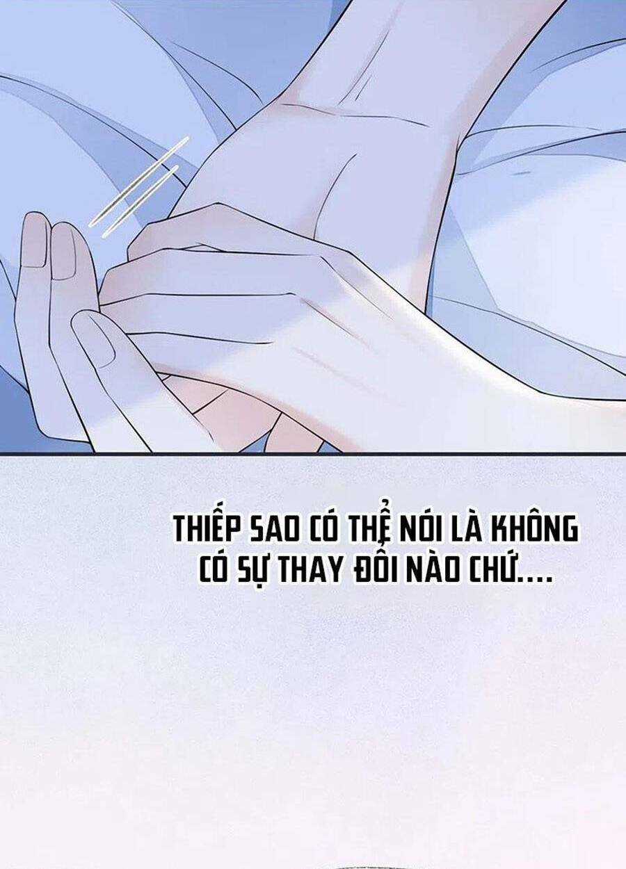 Thái Hậu Quân Hạ Thần Chapter 164 trang 17