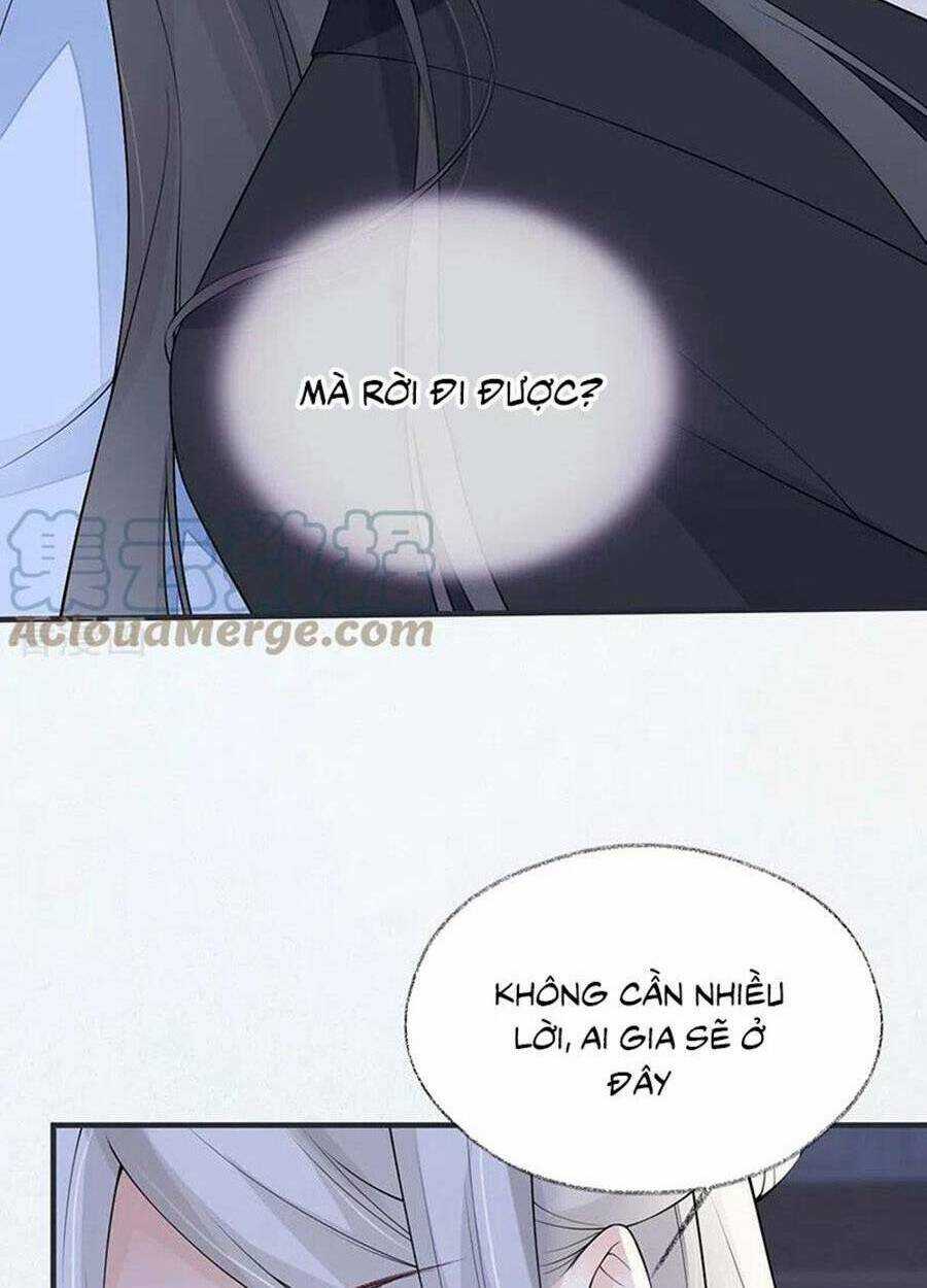 Thái Hậu Quân Hạ Thần Chapter 164 trang 23