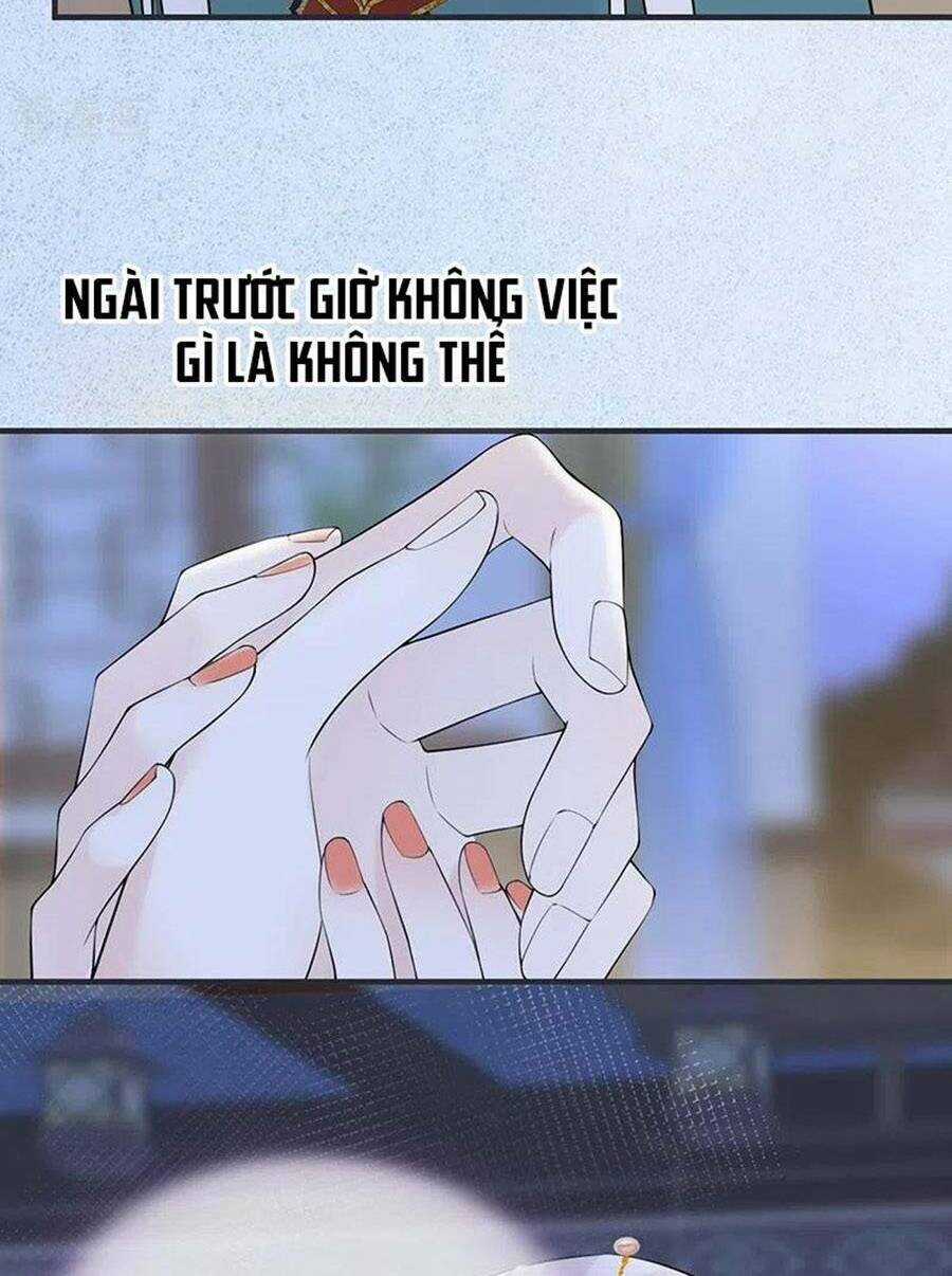 Thái Hậu Quân Hạ Thần Chapter 164 trang 25