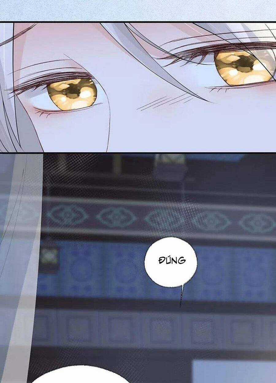 Thái Hậu Quân Hạ Thần Chapter 164 trang 34