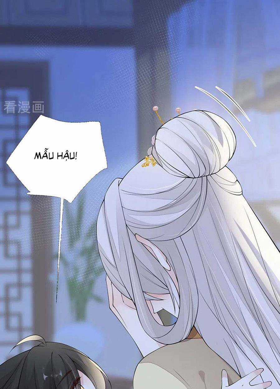 Thái Hậu Quân Hạ Thần Chapter 164 trang 36