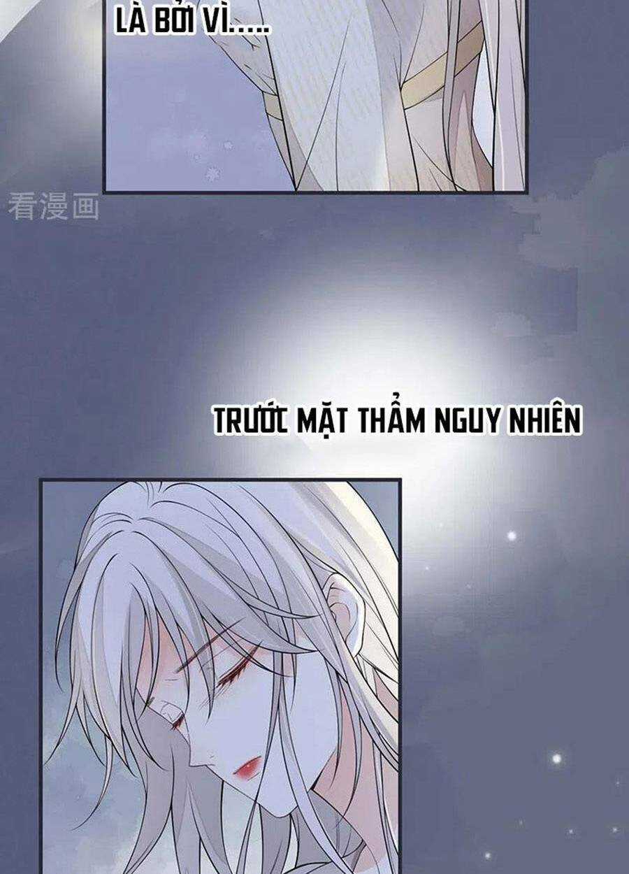 Thái Hậu Quân Hạ Thần Chapter 165 trang 15