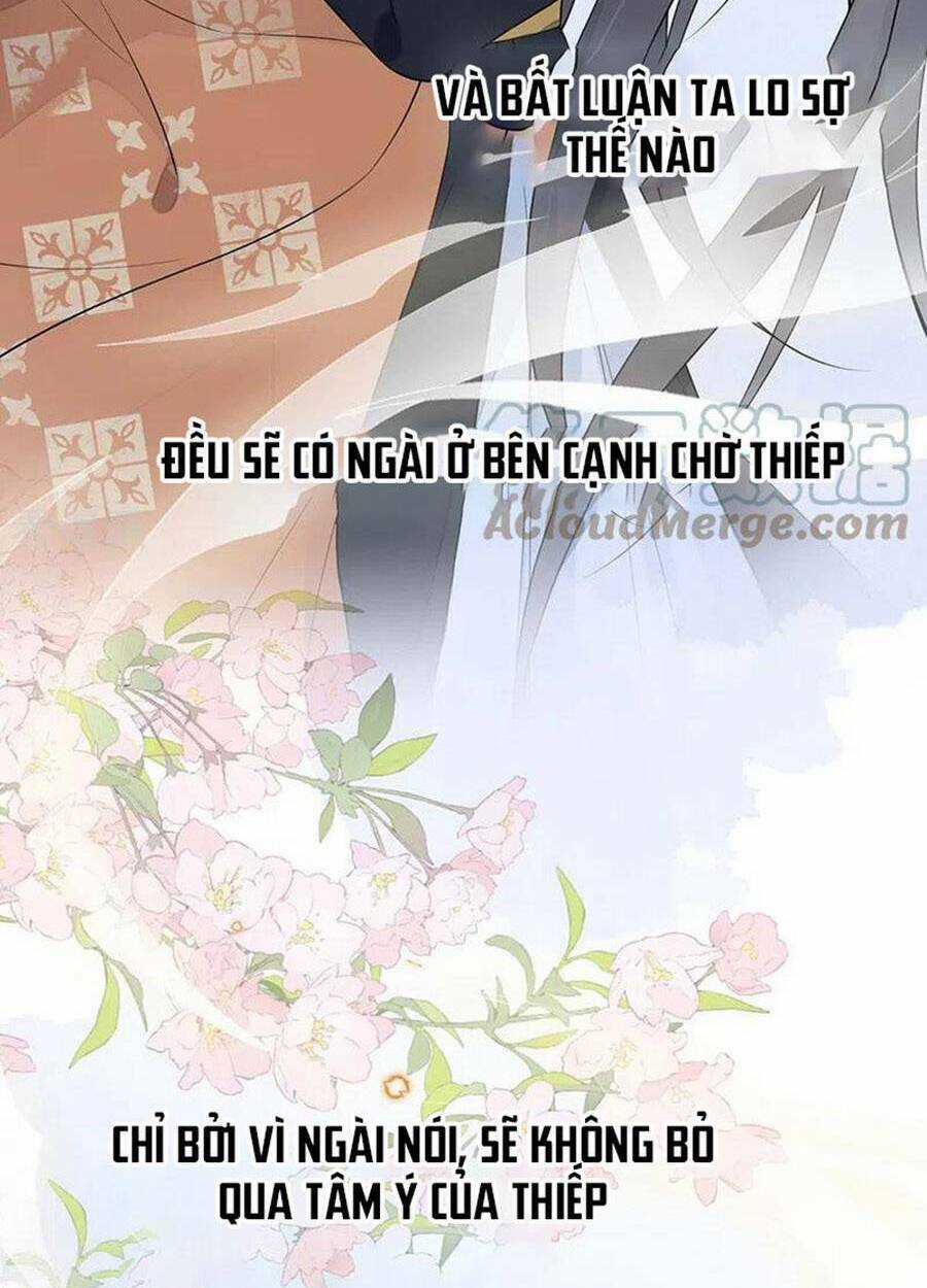 Thái Hậu Quân Hạ Thần Chapter 165 trang 21