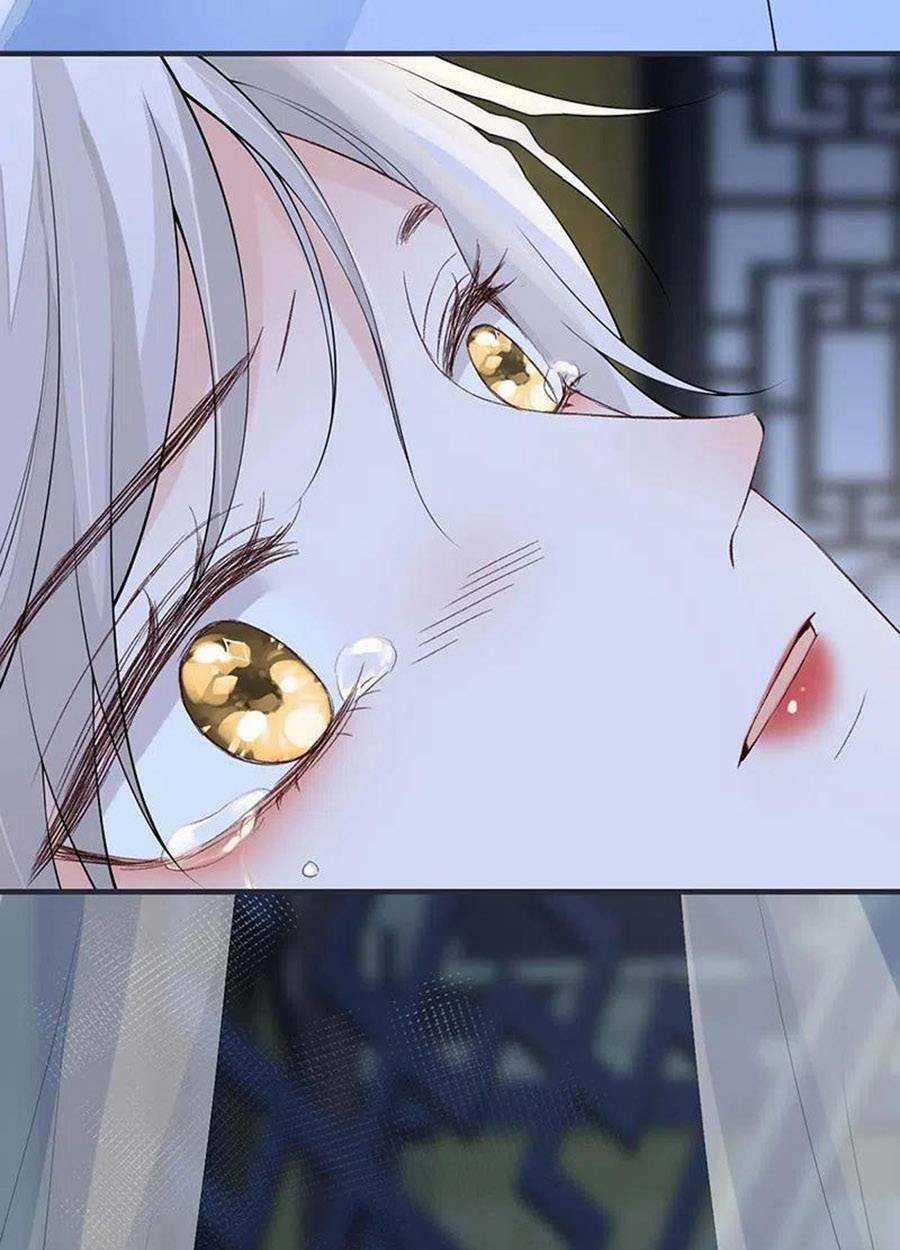 Thái Hậu Quân Hạ Thần Chapter 165 trang 41