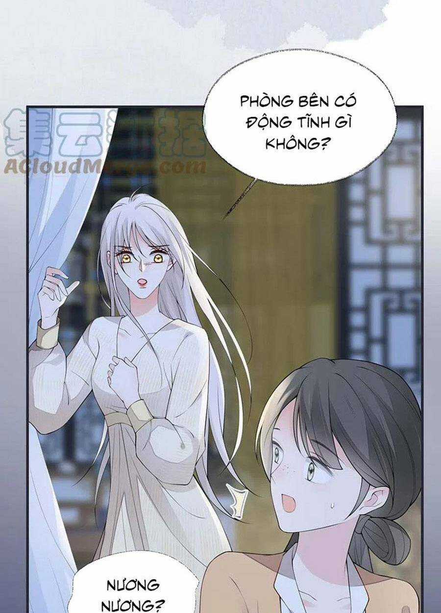 Thái Hậu Quân Hạ Thần Chapter 165 trang 47