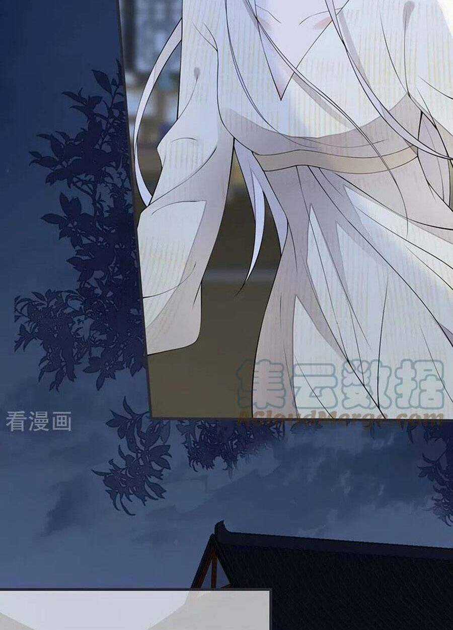 Thái Hậu Quân Hạ Thần Chapter 165 trang 49