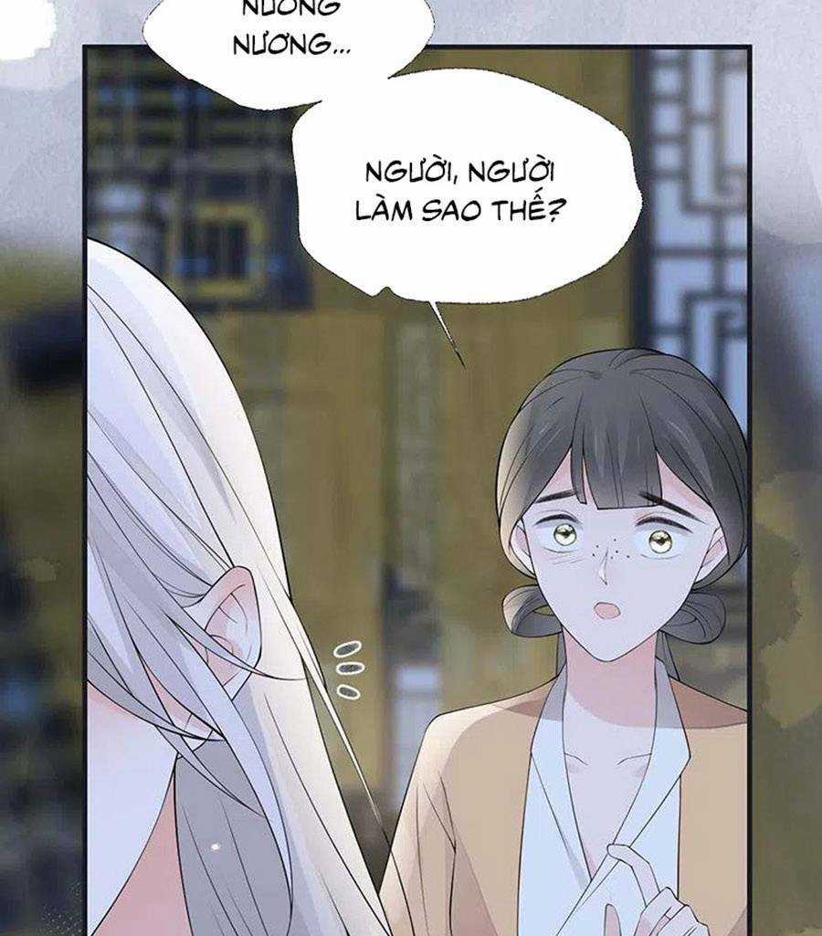 Thái Hậu Quân Hạ Thần Chapter 166 trang 16