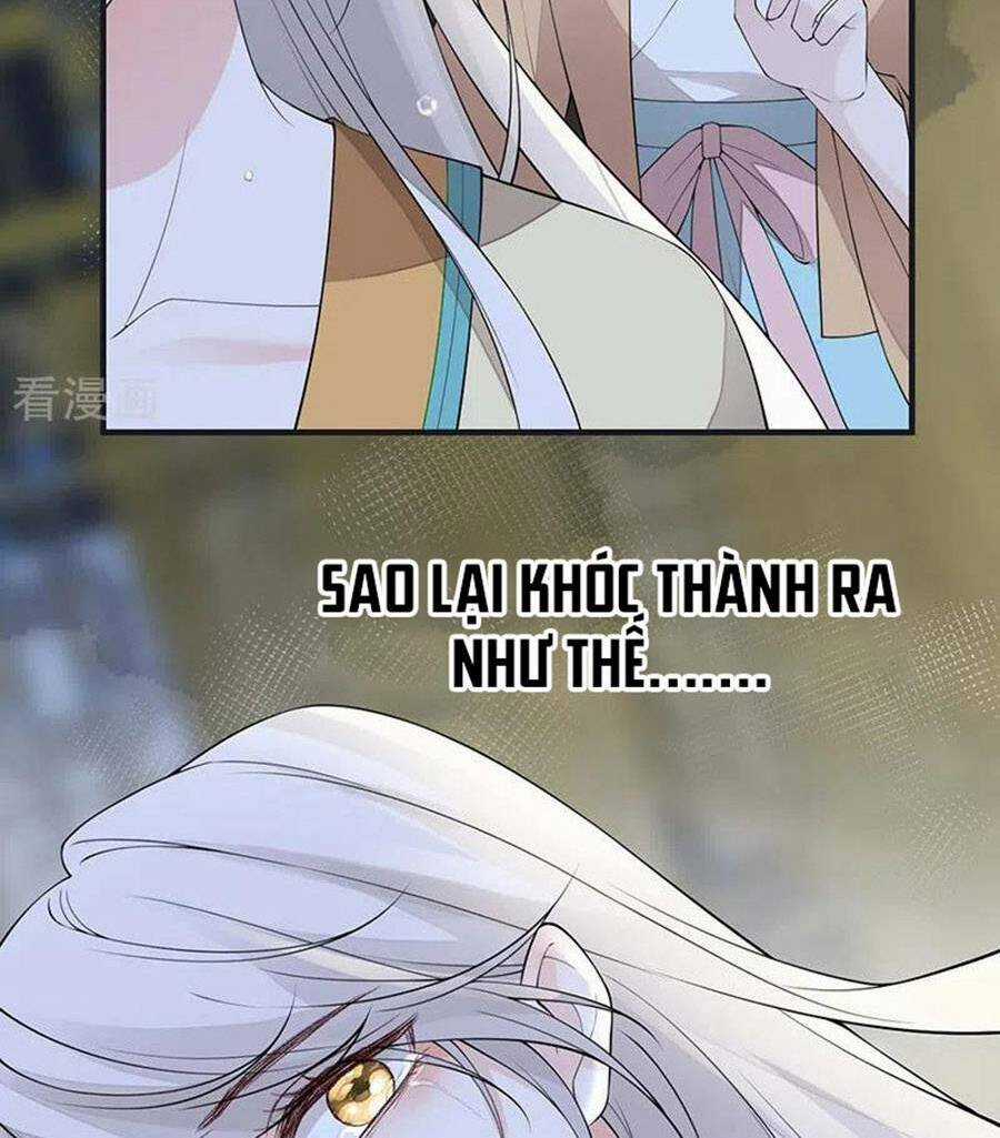 Thái Hậu Quân Hạ Thần Chapter 166 trang 17