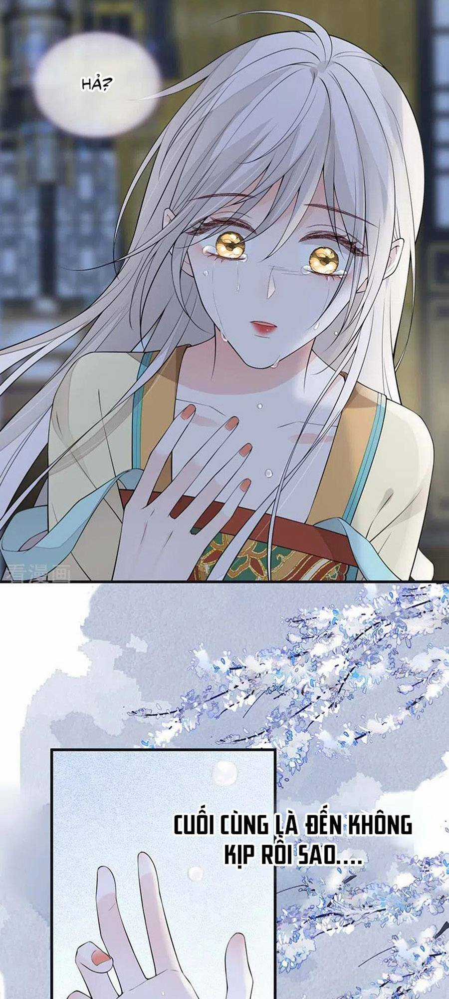 Thái Hậu Quân Hạ Thần Chapter 166 trang 19