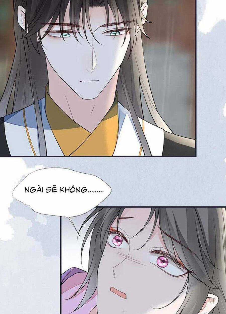 Thái Hậu Quân Hạ Thần Chapter 167 trang 33