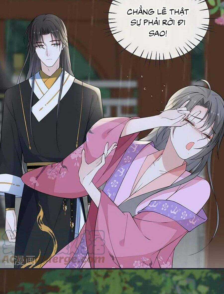 Thái Hậu Quân Hạ Thần Chapter 167 trang 36