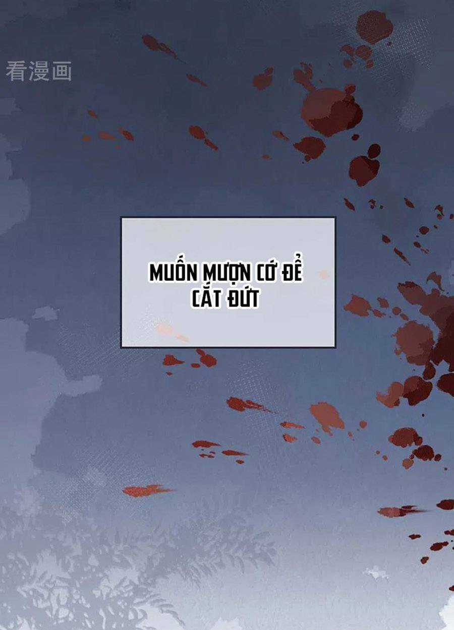 Thái Hậu Quân Hạ Thần Chapter 168 trang 33