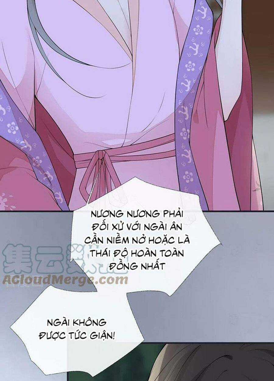 Thái Hậu Quân Hạ Thần Chapter 168 trang 52