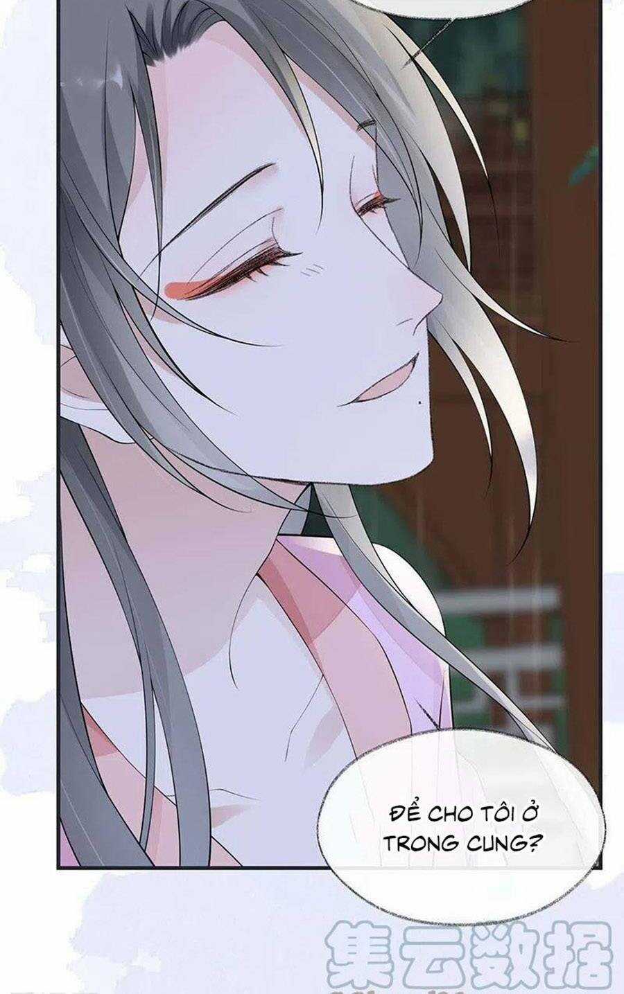 Thái Hậu Quân Hạ Thần Chapter 169 trang 17