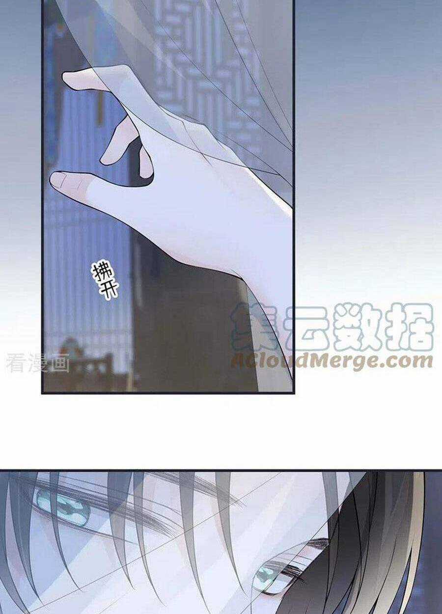 Thái Hậu Quân Hạ Thần Chapter 169 trang 26