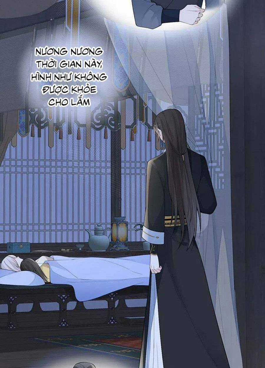 Thái Hậu Quân Hạ Thần Chapter 169 trang 29