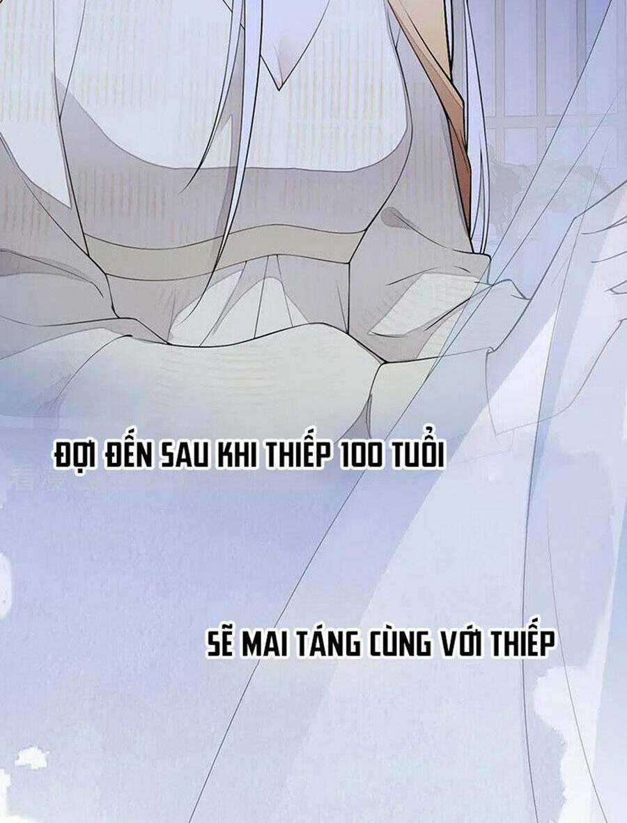 Thái Hậu Quân Hạ Thần Chapter 170 trang 24