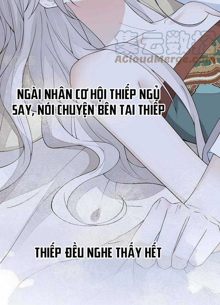 Thái Hậu Quân Hạ Thần Chapter 170 trang 26