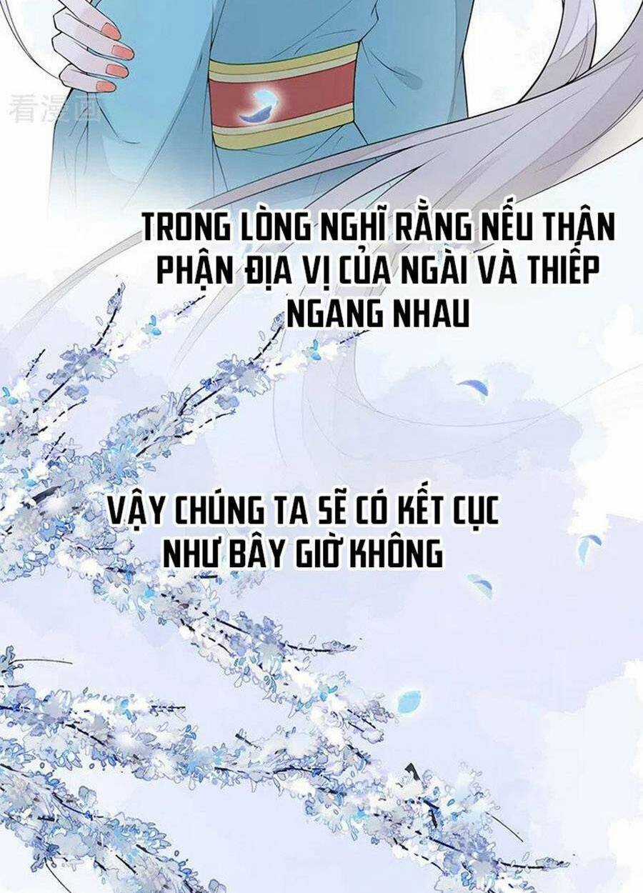 Thái Hậu Quân Hạ Thần Chapter 170 trang 31
