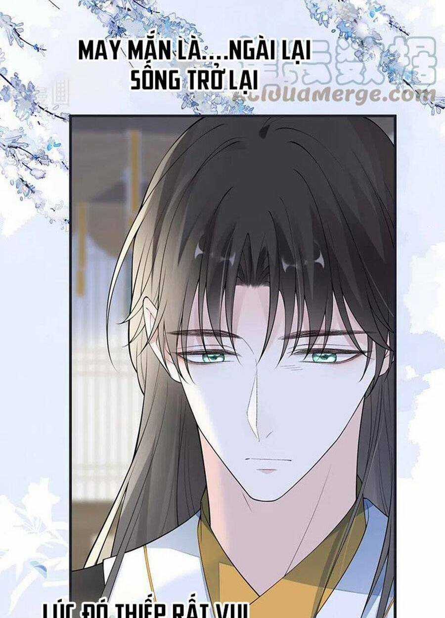 Thái Hậu Quân Hạ Thần Chapter 170 trang 32