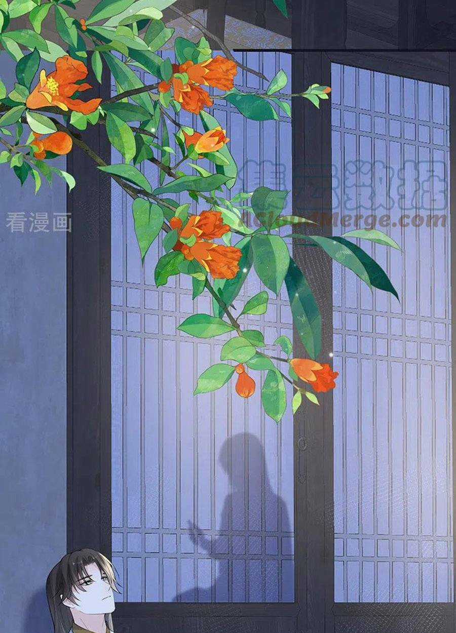 Thái Hậu Quân Hạ Thần Chapter 170 trang 4