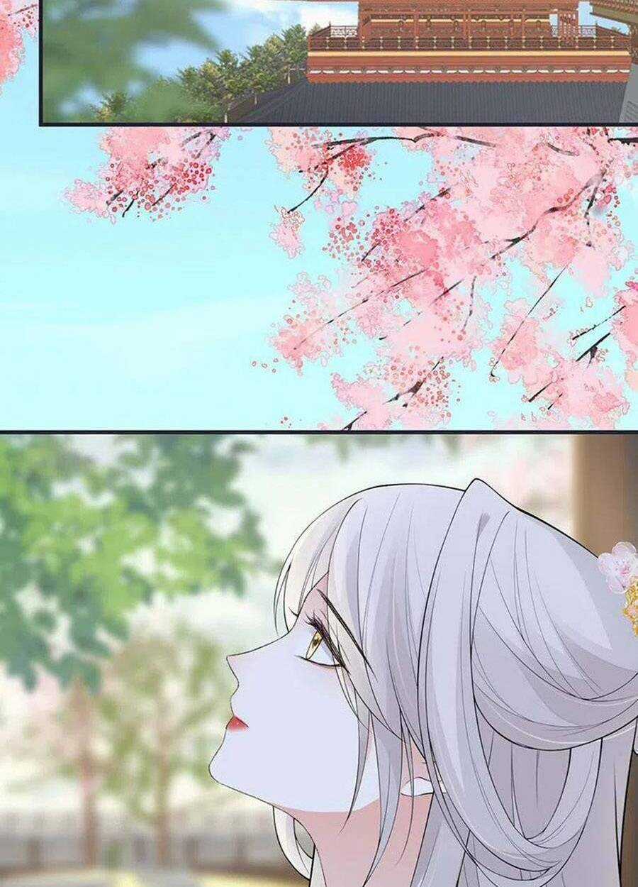 Thái Hậu Quân Hạ Thần Chapter 170 trang 46