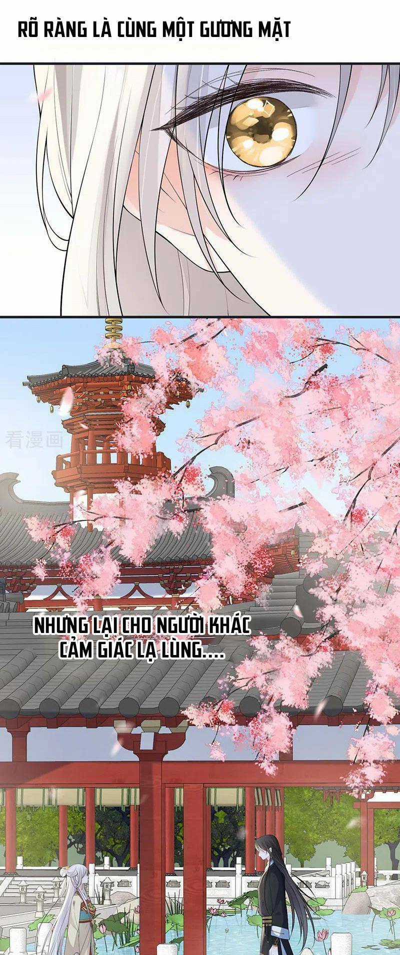 Thái Hậu Quân Hạ Thần Chapter 171 trang 4