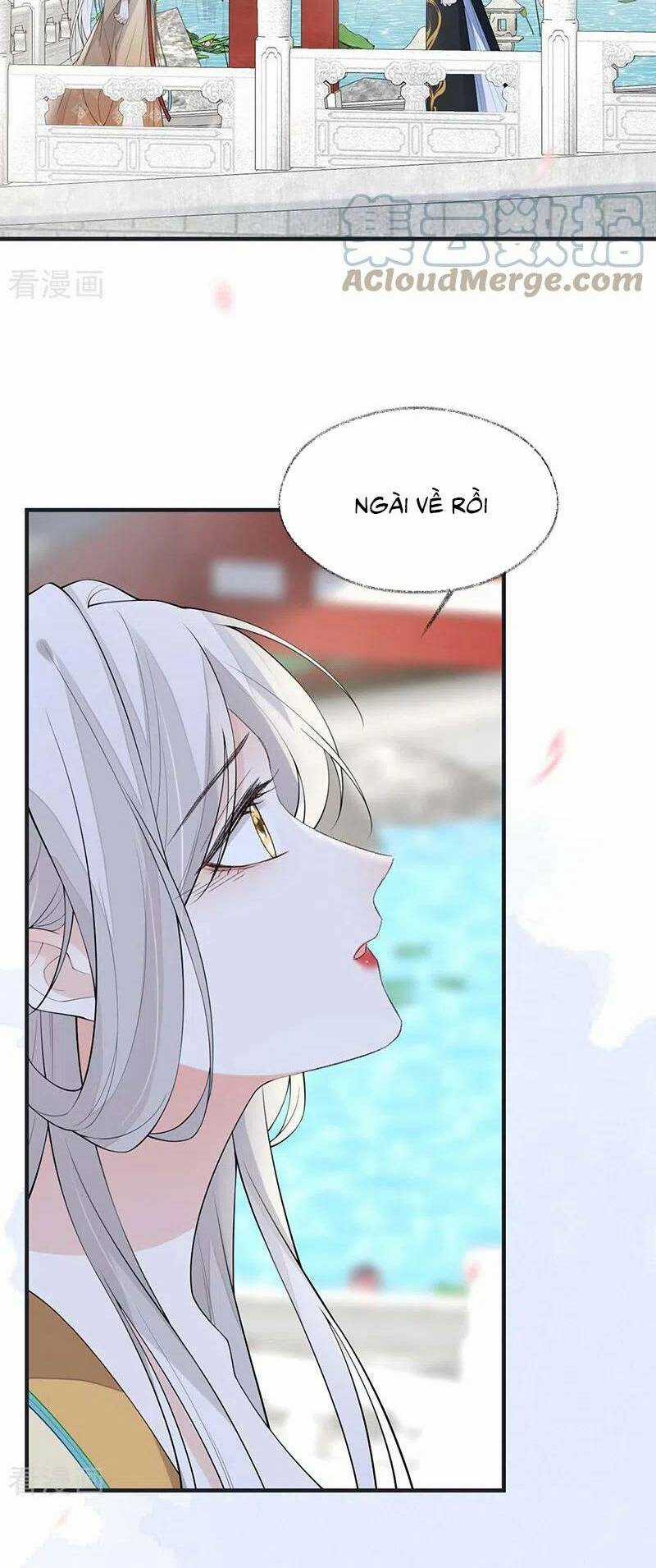 Thái Hậu Quân Hạ Thần Chapter 171 trang 5