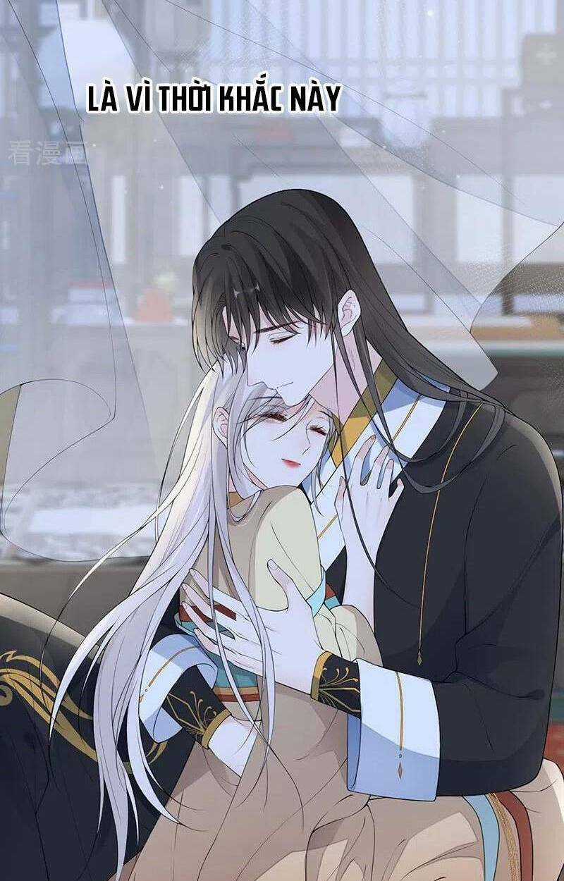 Thái Hậu Quân Hạ Thần Chapter 172 trang 37