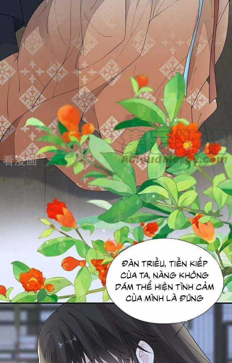 Thái Hậu Quân Hạ Thần Chapter 172 trang 38