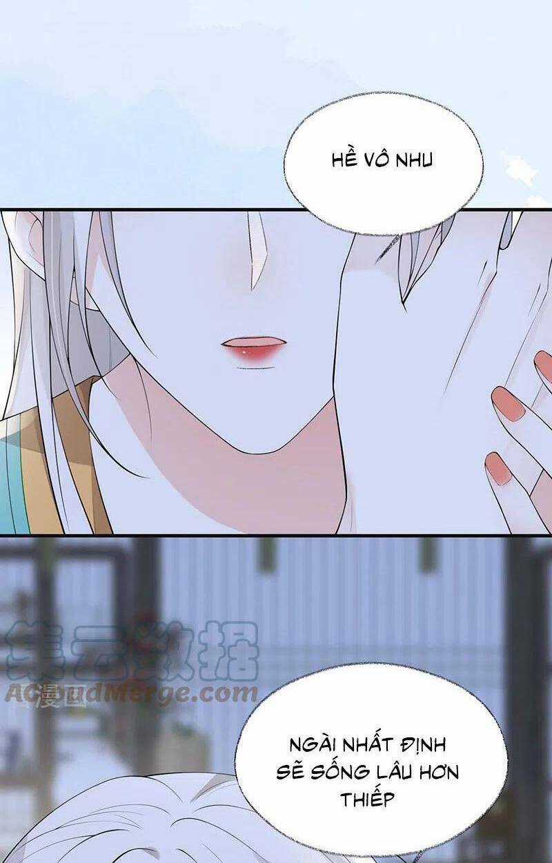 Thái Hậu Quân Hạ Thần Chapter 172 trang 42