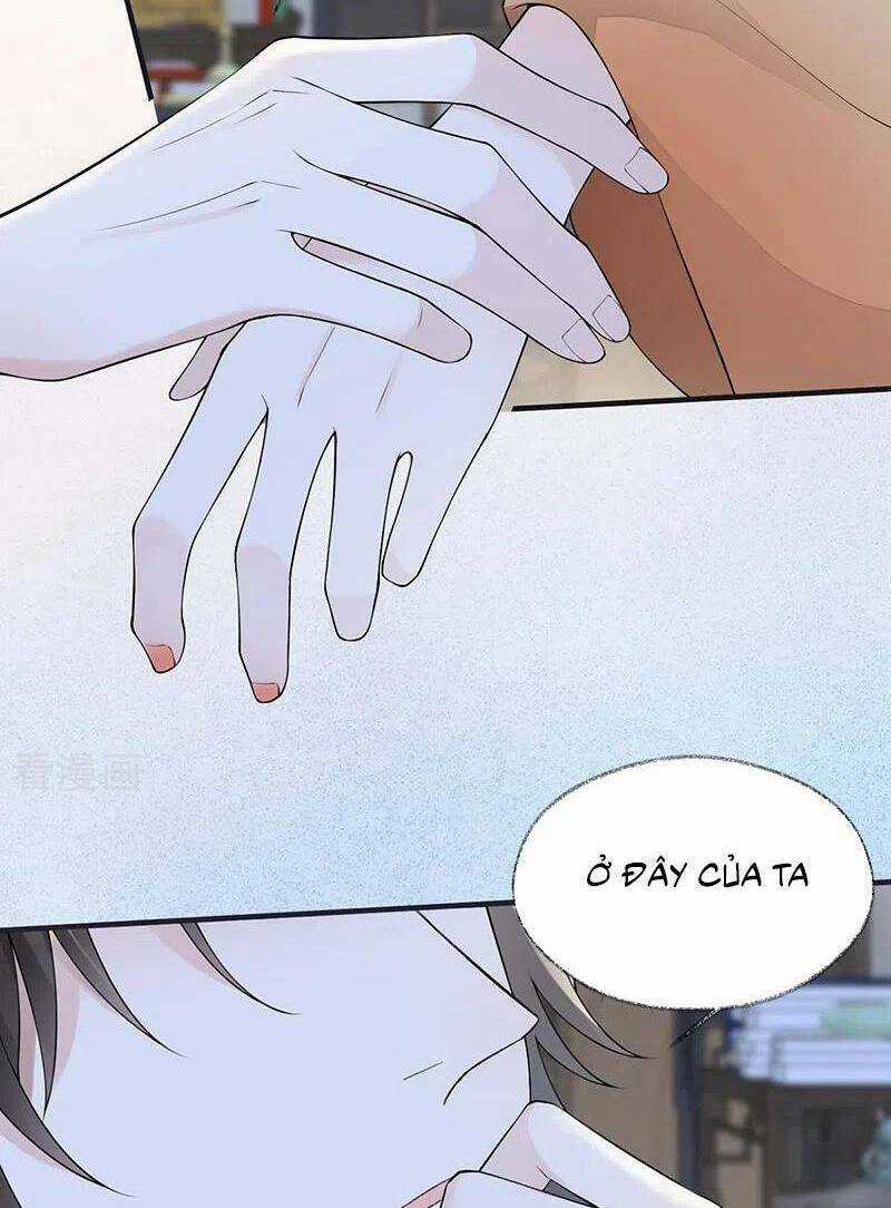 Thái Hậu Quân Hạ Thần Chapter 173 trang 17