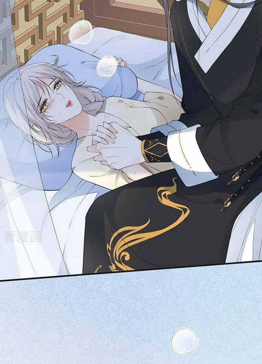 Thái Hậu Quân Hạ Thần Chapter 174 trang 24